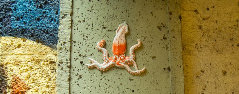 Architeuthis