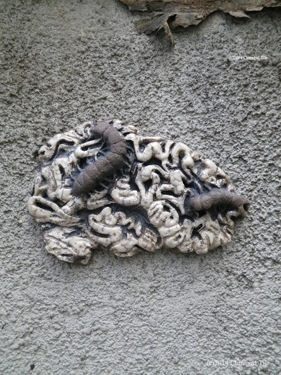 Brainbugs No.16, Shinjuku, Tokyo, Japan