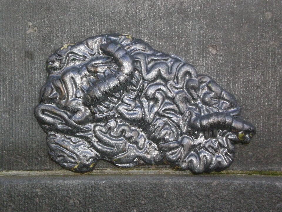 Brainbugs No.9, Spui university, Amsterdam, Netherland