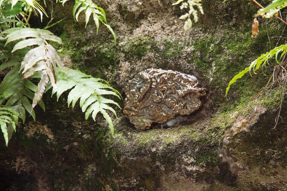 Brainbugs No.13, Keroseen Creek, New Zealand