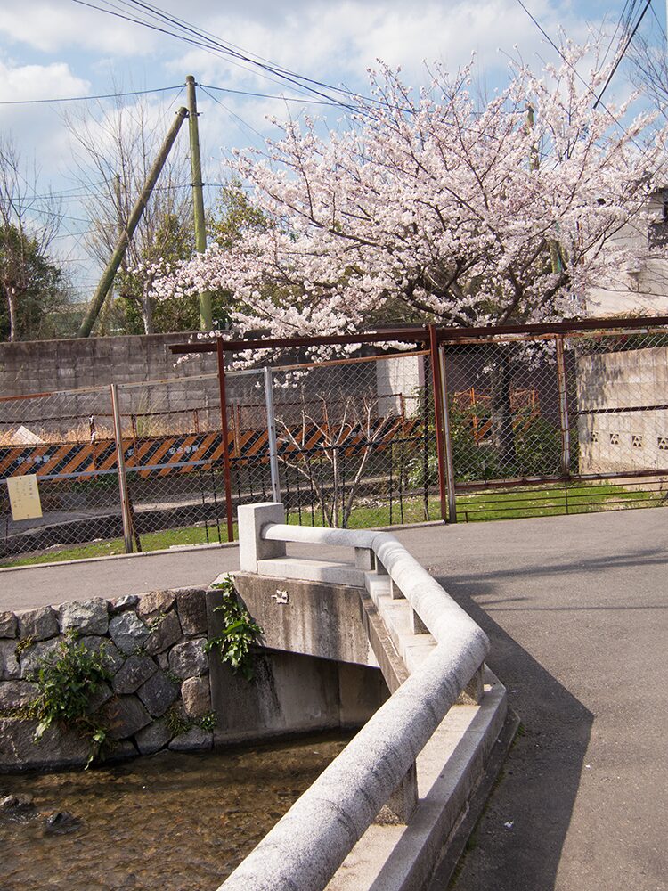 Bullet No.33, Higashiyama, Kyoto, Japan