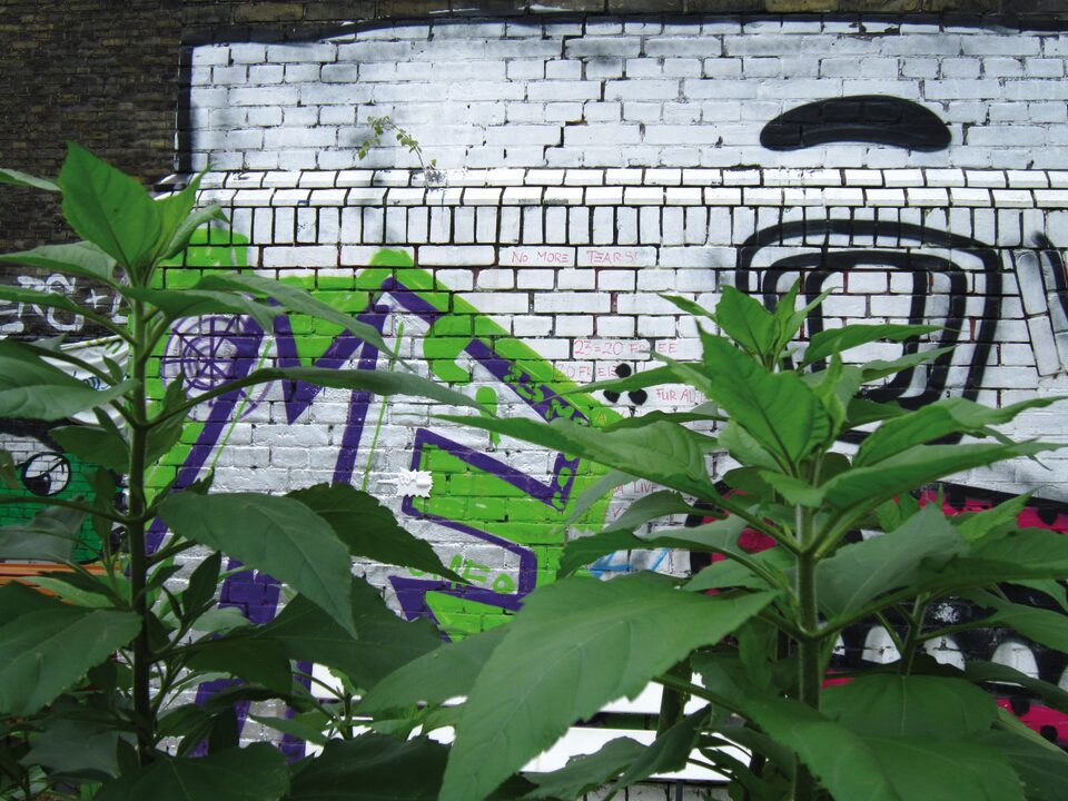 Bullet No.17, Gardens in Berlin, Germany