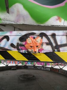 Fox