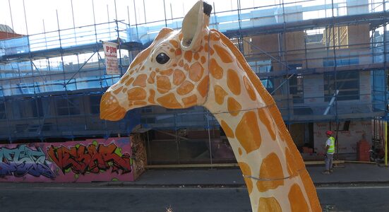 Geoffrey the Giraffe