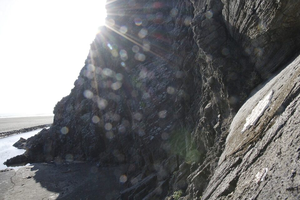 Im a virus No.7, Karekare, New Zealand
