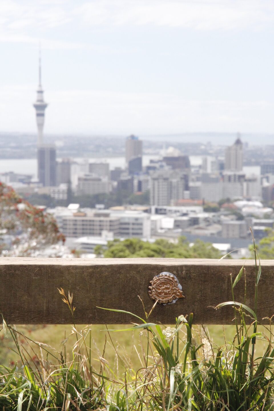 Im a Virus No. 14, Mt Eden, Aukland, New Zealand