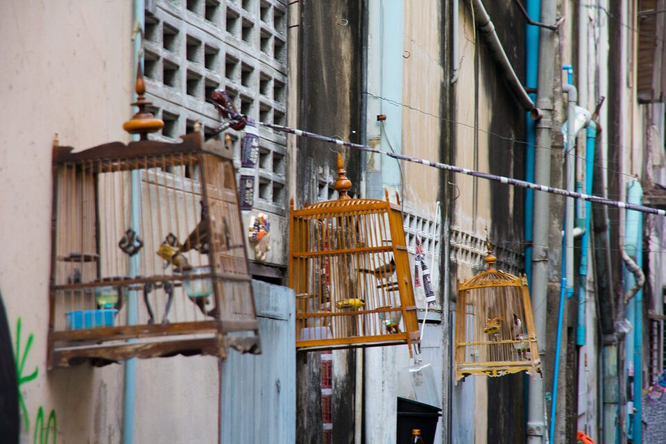 Ich bin ich 2, next to Phetchaburi 18 Alley, Bangkok, Thailand