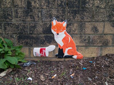 The Fox