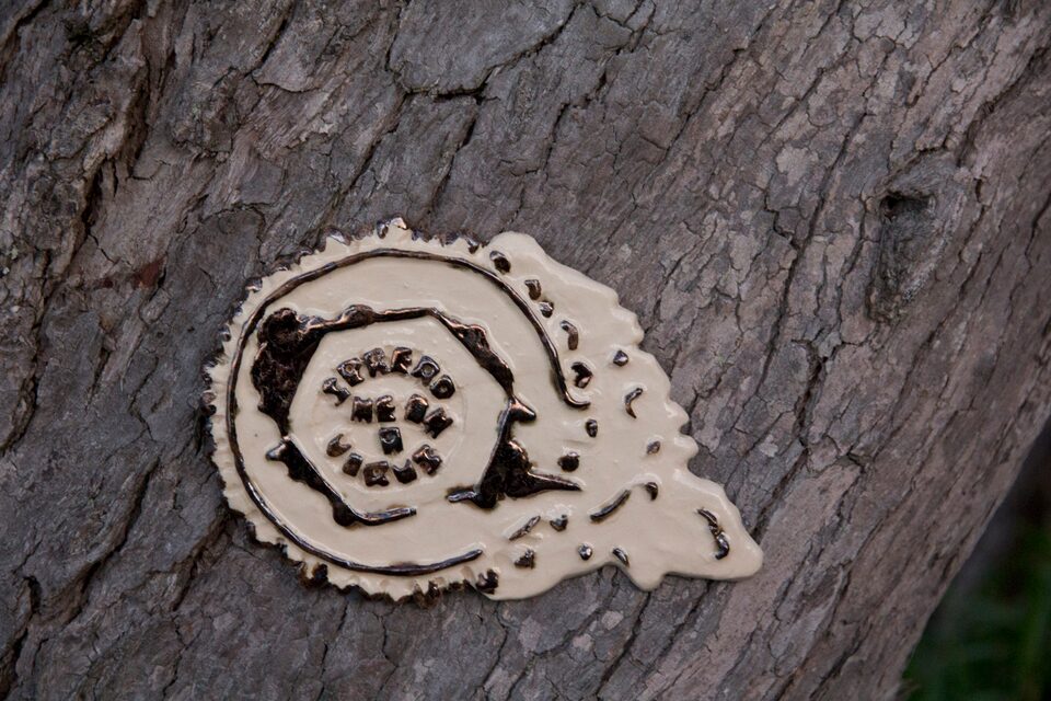 Virus No.3, Goat Island, New Zealand
